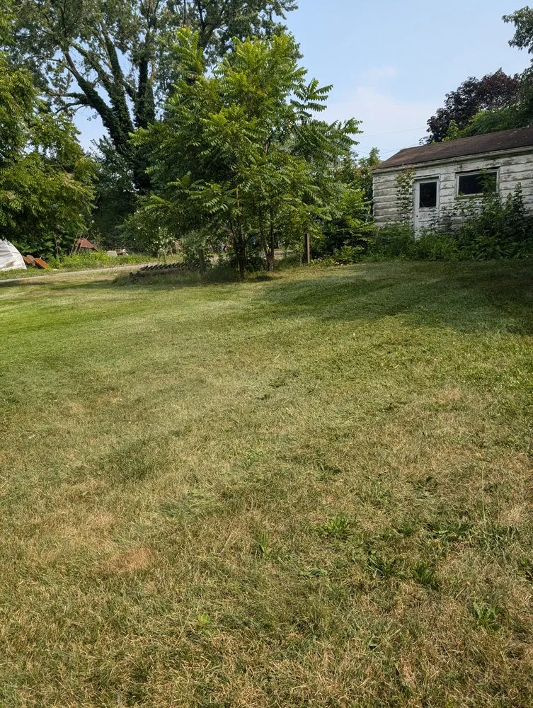 Trusted lawn care service for residential properties across Columbiana, OH - Family Mowing