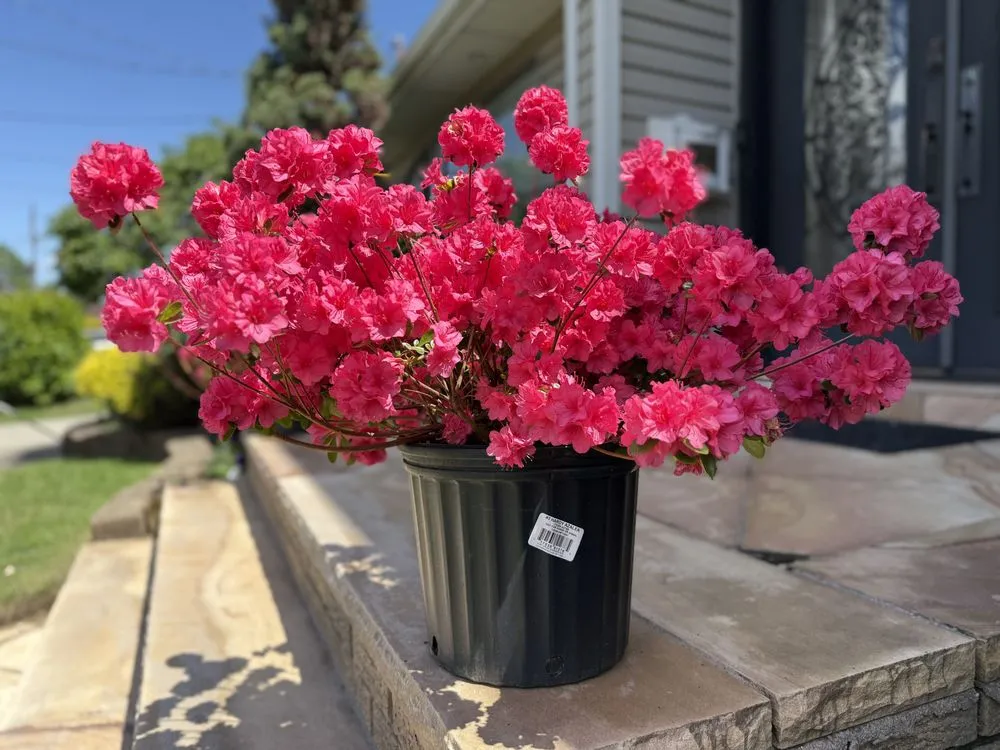 Affordable landscape installation in New York, NY - Family Munoz Landscaping