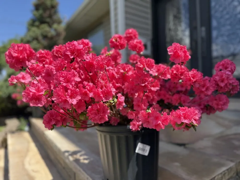 Trusted lawn care service experts serving New York, NY - Family Munoz Landscaping