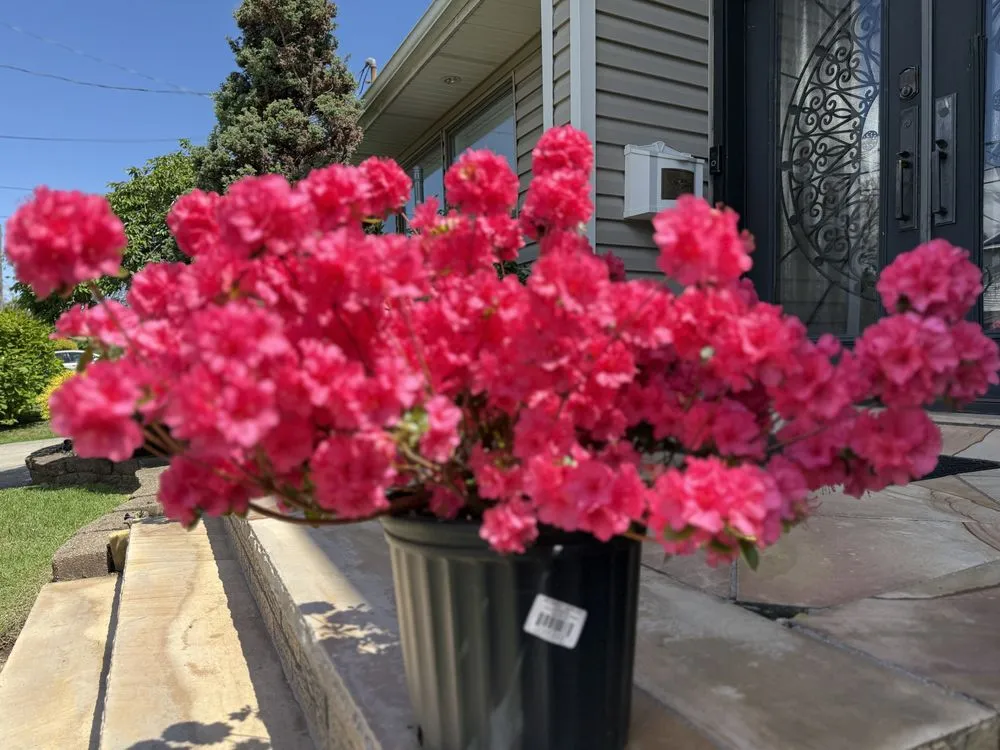 Affordable lawn mowing service in New York, NY by Family Munoz Landscaping