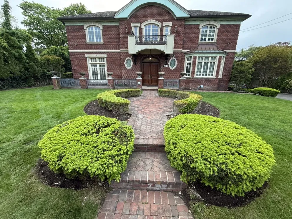 Top-rated yard cleanup service experts serving New York, NY - Family Munoz Landscaping