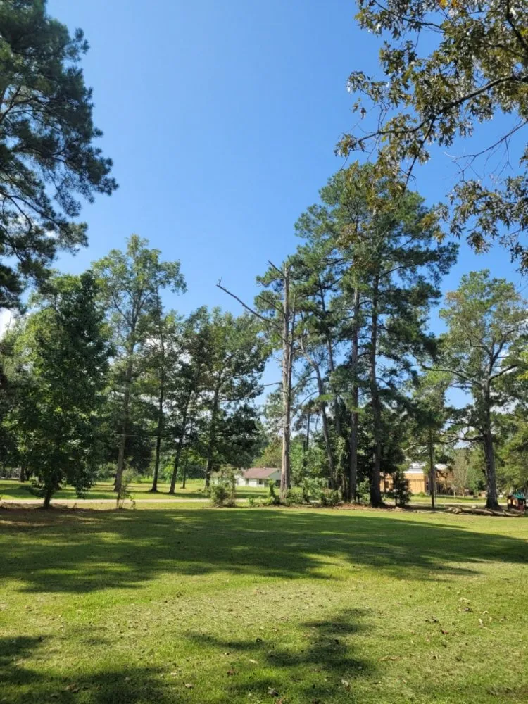 Professional garden landscaping in Shepherd, TX - Family One