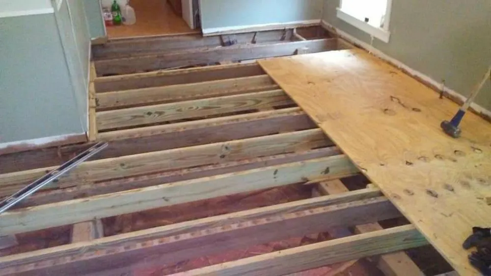 Professional residential landscaping experts serving Shepherd, TX - Family One