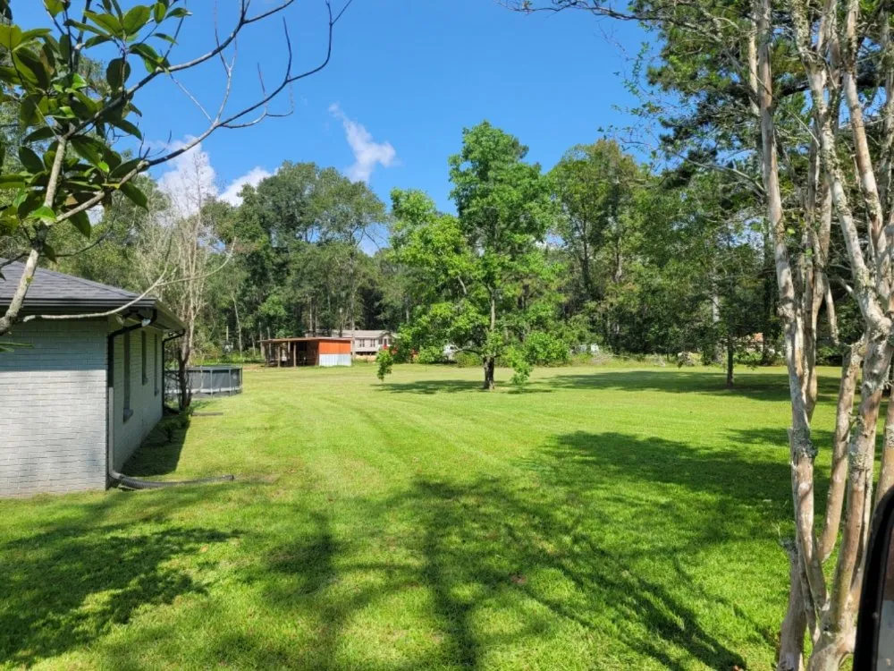 Custom yard cleanup service in Shepherd, TX - Family One