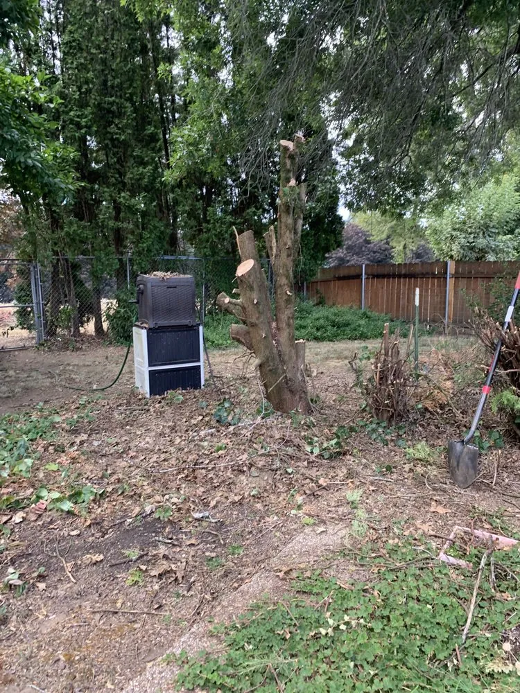 Top-rated lawn mowing service in Portland, OR by Family Only Landscaping