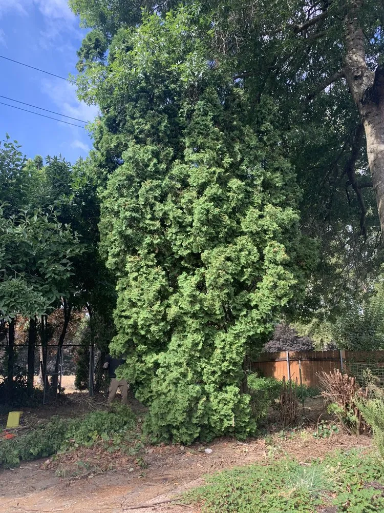 Reliable yard maintenance for residential properties across Portland, OR - Family Only Landscaping