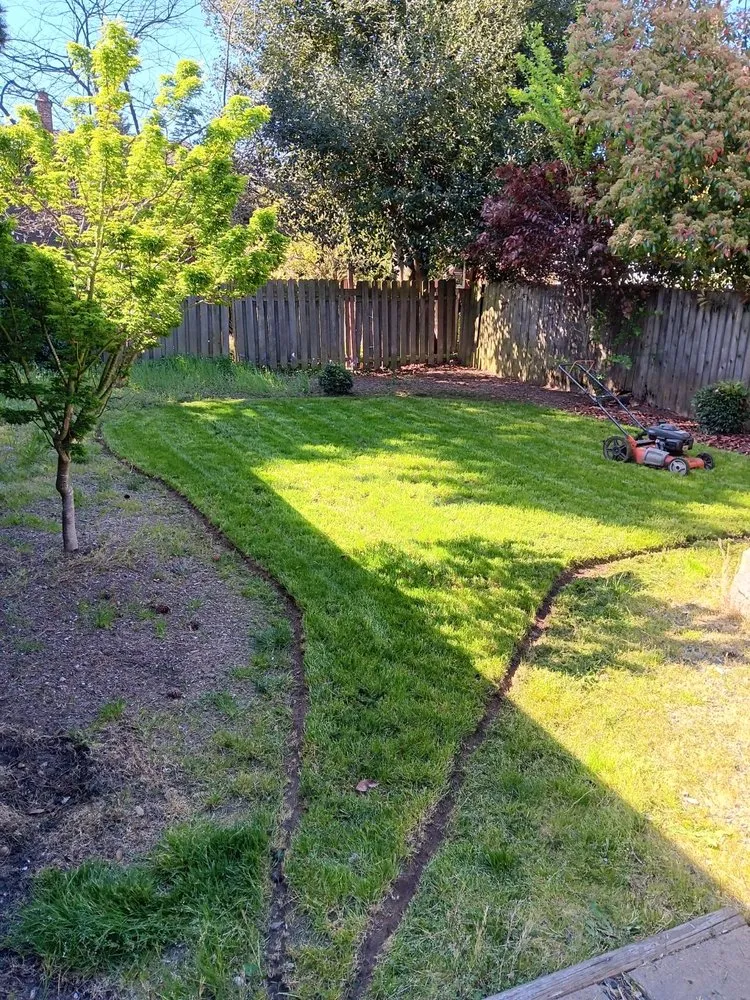 Affordable lawn care service for homes across Portland, OR - Family Only Landscaping