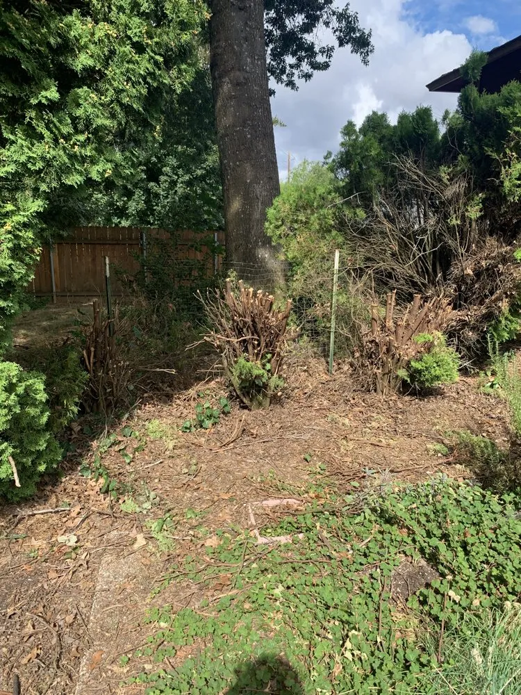 Trusted lawn mowing service experts serving Portland, OR - Family Only Landscaping