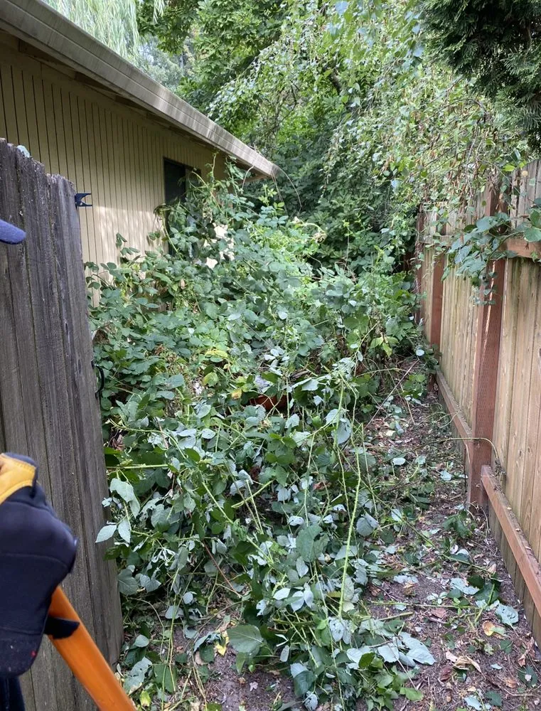 Trusted outdoor landscaping for outdoor upgrades across Portland, OR - Family Only Landscaping