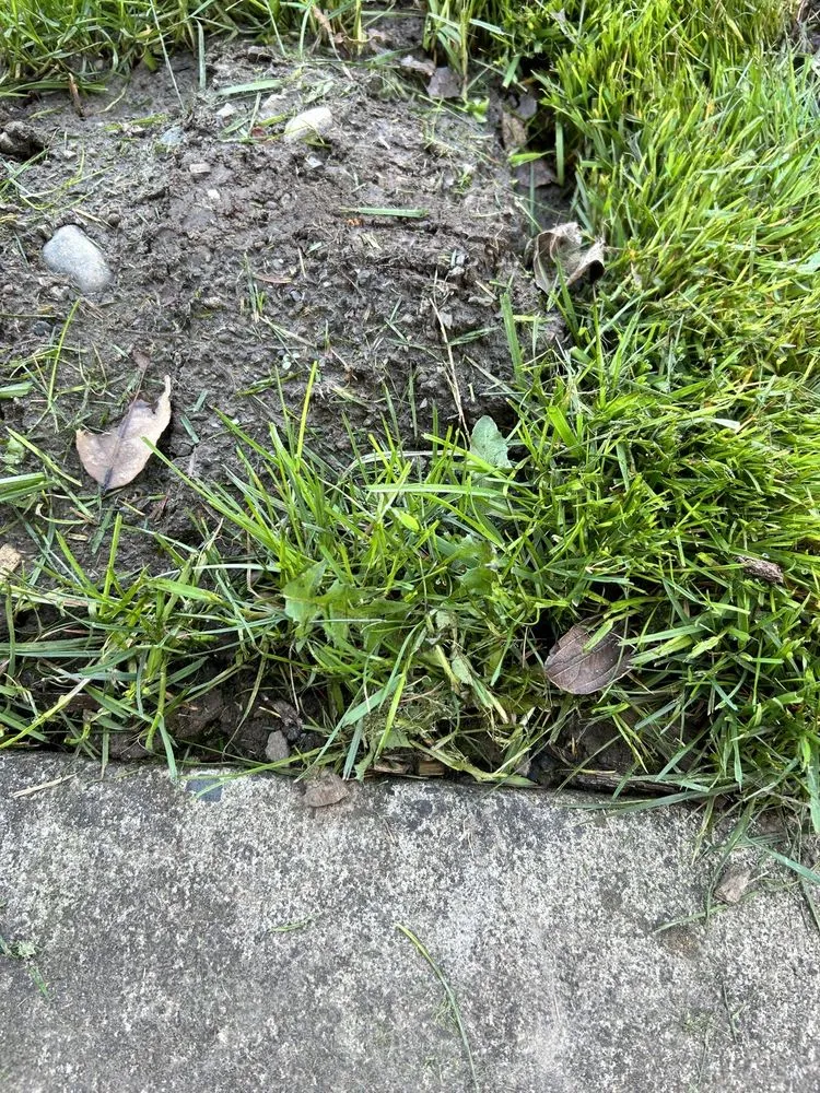 Reliable residential landscaping for year-round maintenance in Portland, OR by Family Only Landscaping