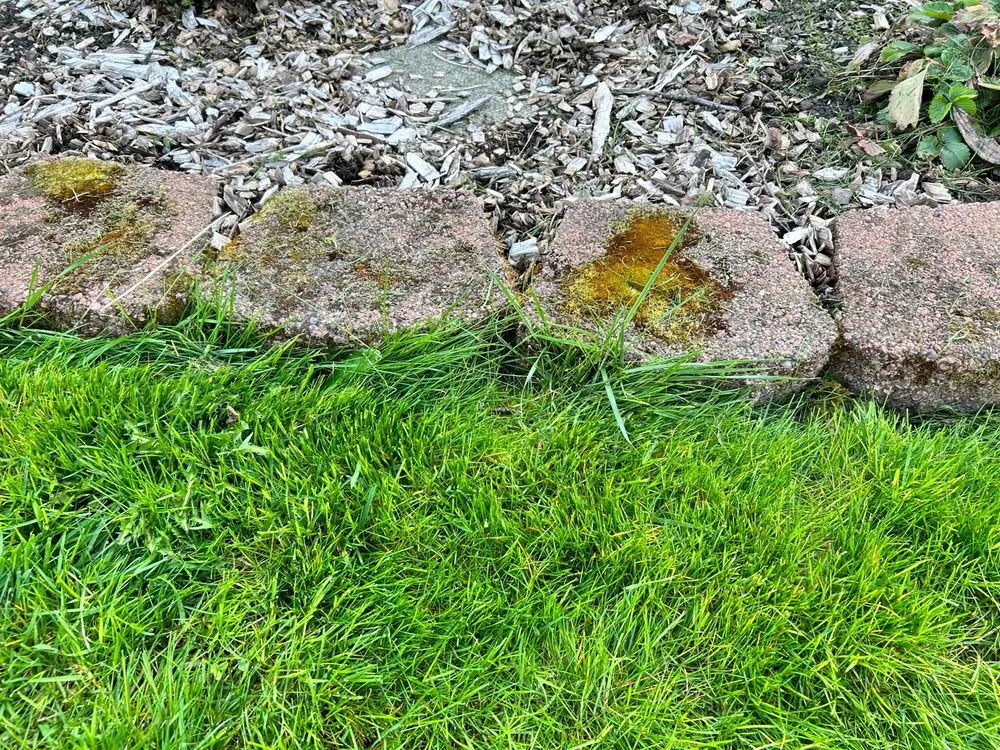 Expert yard maintenance in Portland, OR by Family Only Landscaping