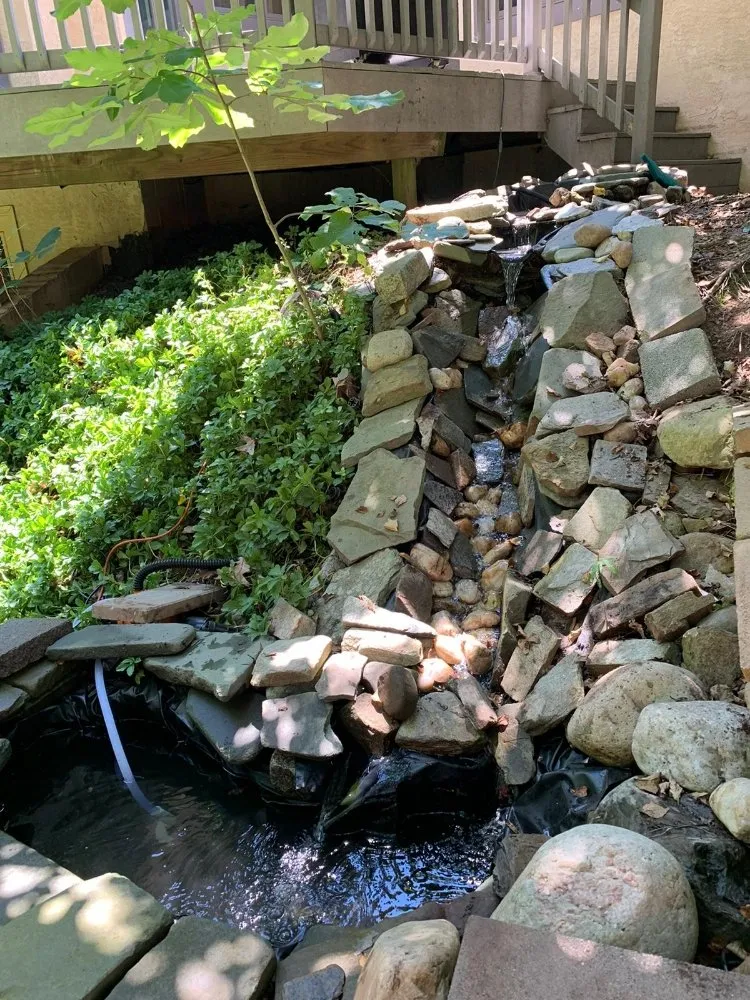 Local yard maintenance experts serving Trenton, NJ - Family Roofing And Landscaping