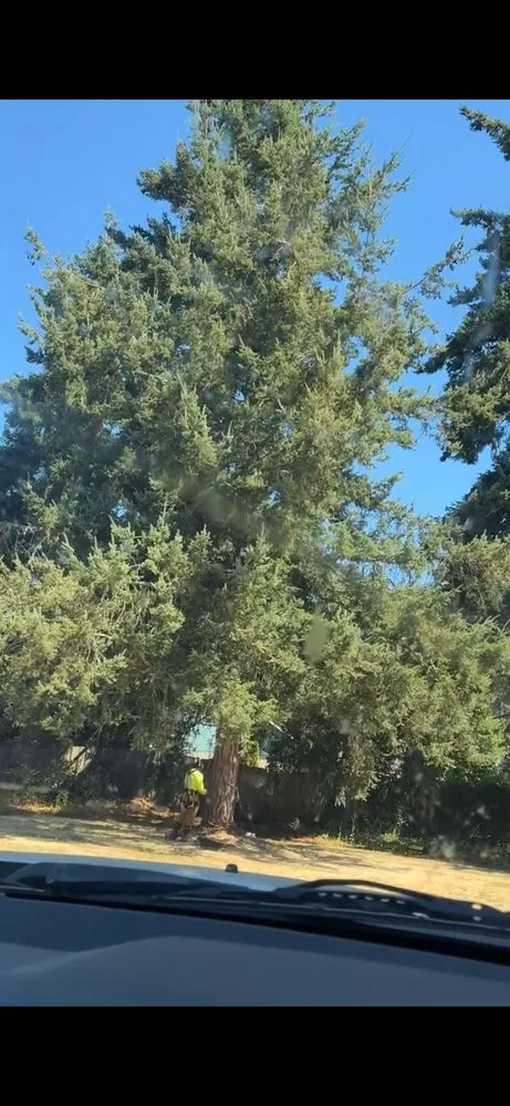 Top-rated yard maintenance in Eugene, OR - Family Roots