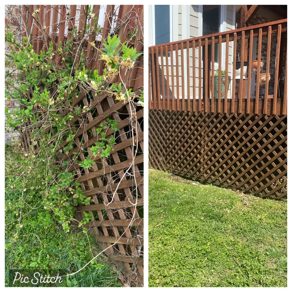Expert yard maintenance experts serving Galena, MO - Family Roots