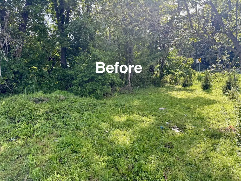 Trusted landscape design in Lagrange, NY by Family Roots Land Services