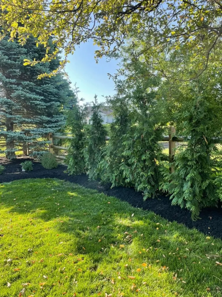 Reliable yard maintenance in Bowling Green, OH - Family Roots Landscape & Design