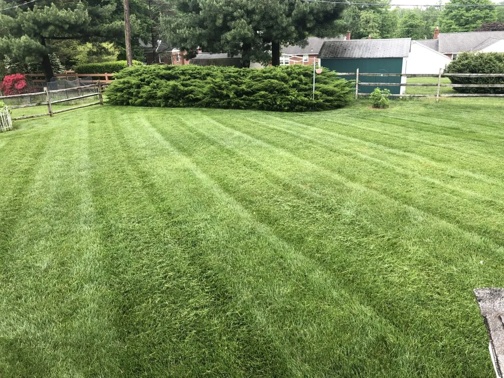 Top-rated yard cleanup service in Fallston, MD - Family Roots Lawn and Landscape