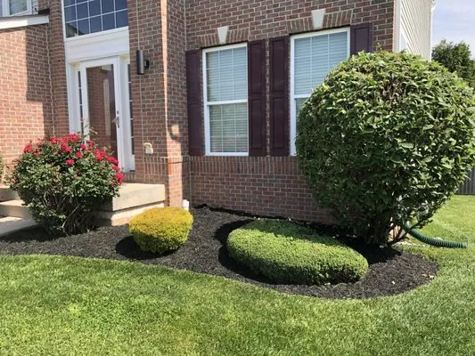 Family Roots Lawn and Landscape