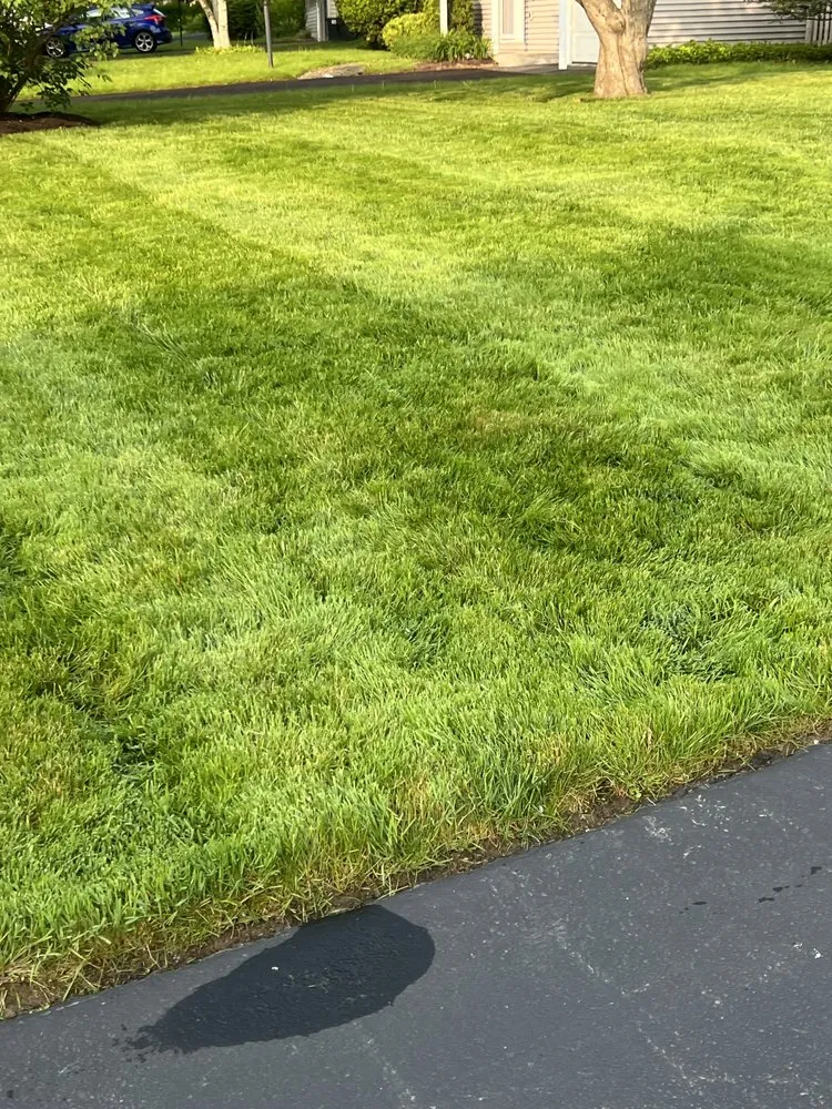 Reliable yard cleanup service in East Syracuse, NY - Family Roots Lawn Care