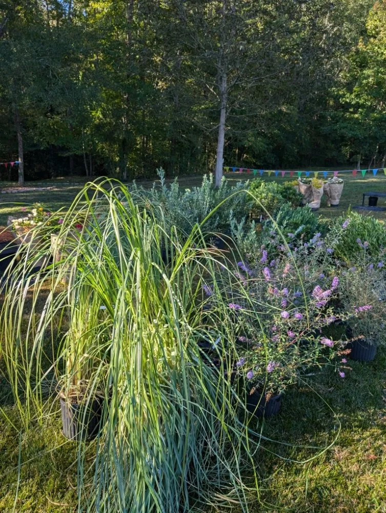 Expert lawn mowing service for beautiful yards across Opelika, AL - Family Roots Nursery and Garden Center