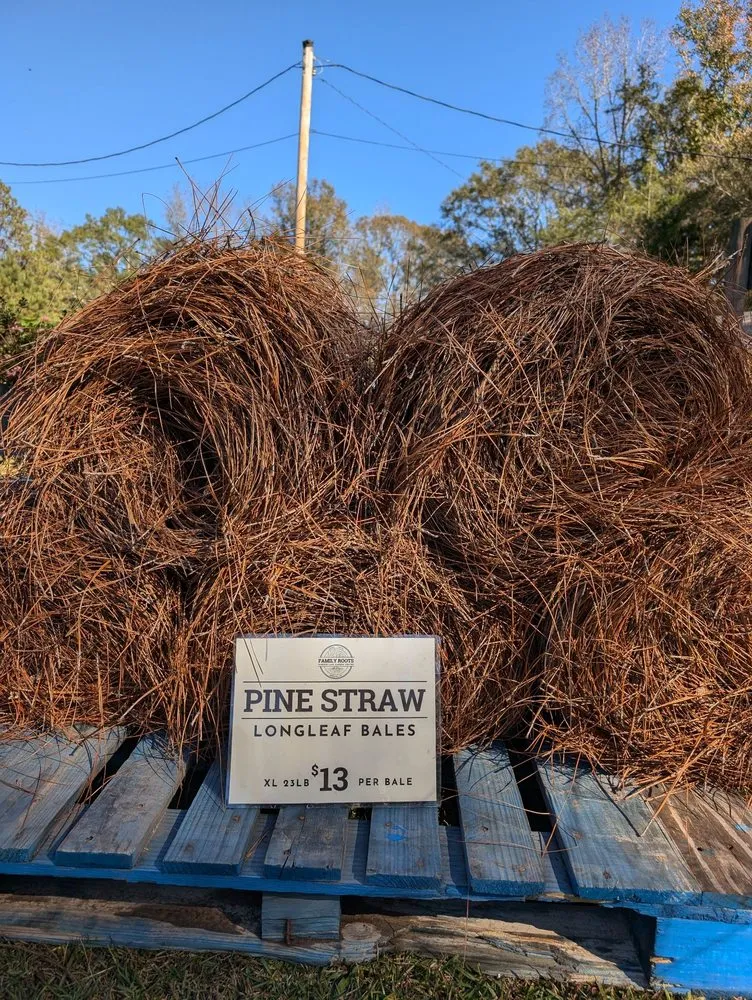 Affordable lawn mowing service experts serving Opelika, AL - Family Roots Nursery and Garden Center