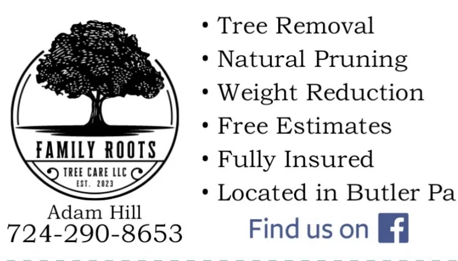 Affordable lawn care service in Butler, PA by Family Roots Tree Care