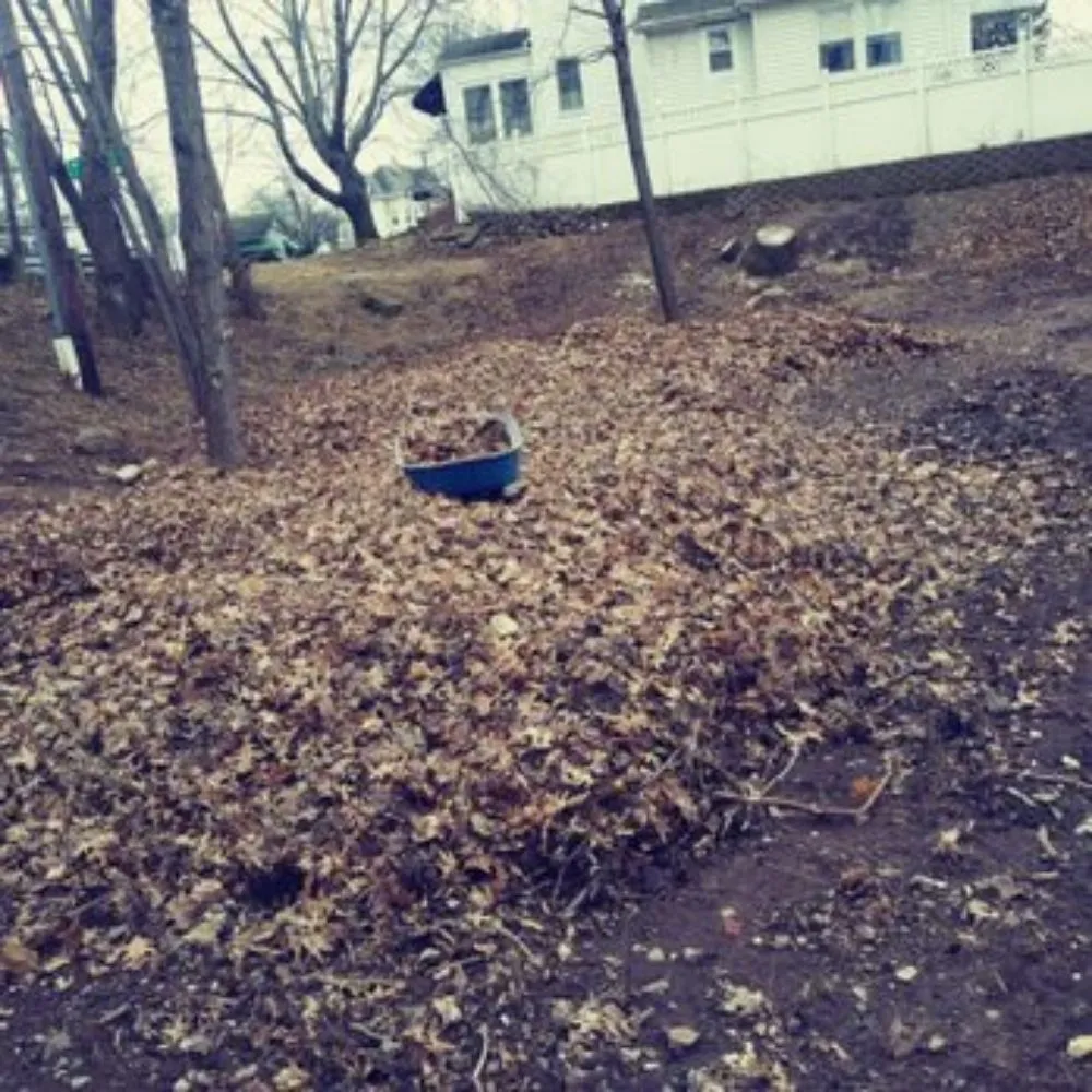 Reliable lawn mowing service for outdoor upgrades across East Orange, NJ - Family Services & Pavers LLC