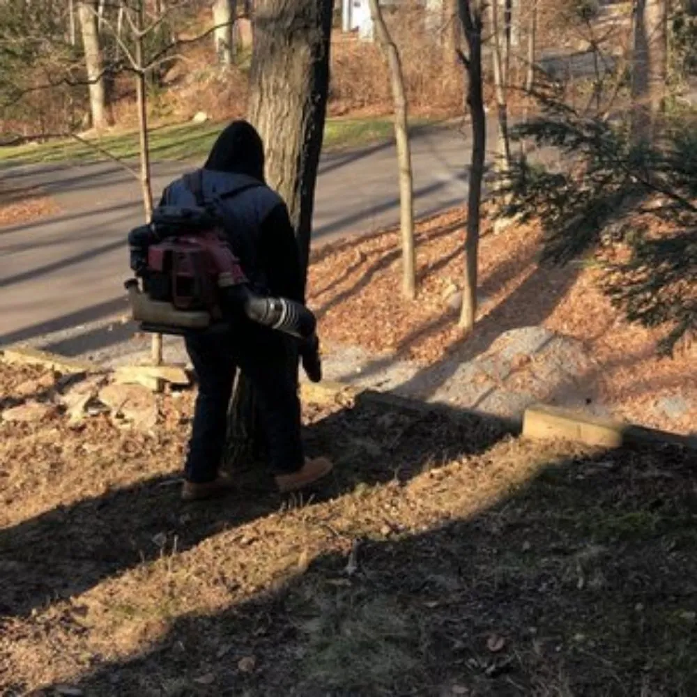 Local yard maintenance in East Orange, NJ by Family Services & Pavers LLC