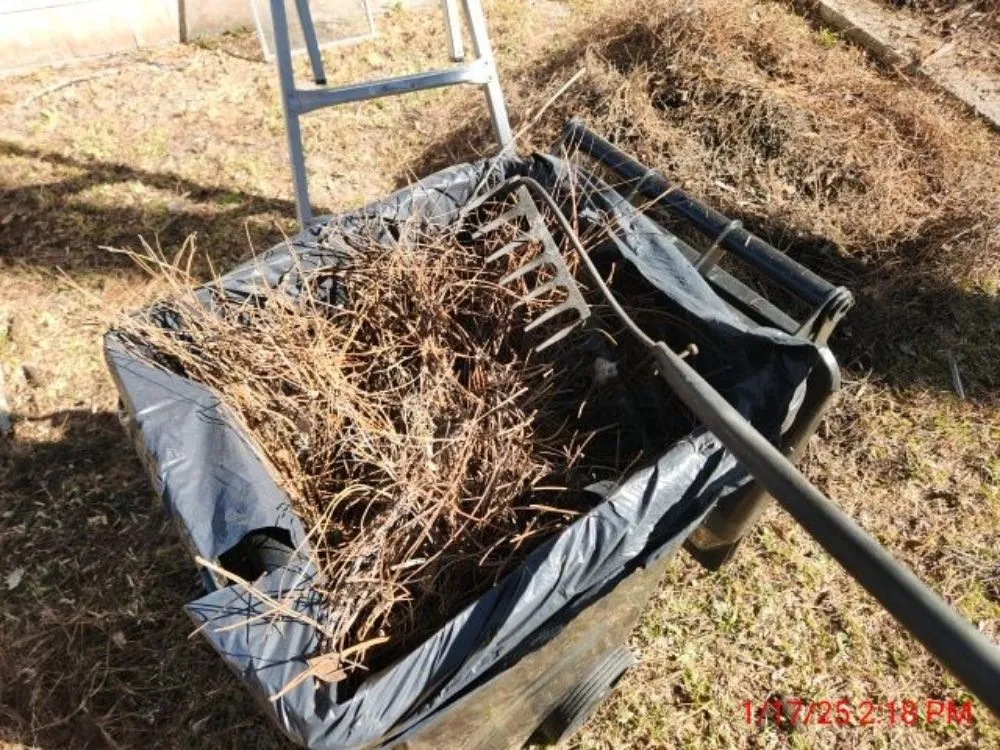 Local lawn mowing service with custom design across Trenton, FL - Family Tradition Field Services