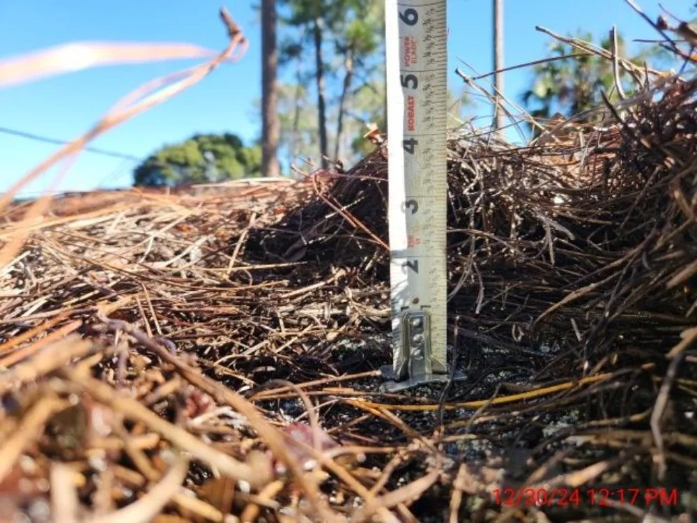 Reliable outdoor landscaping in Trenton, FL by Family Tradition Field Services