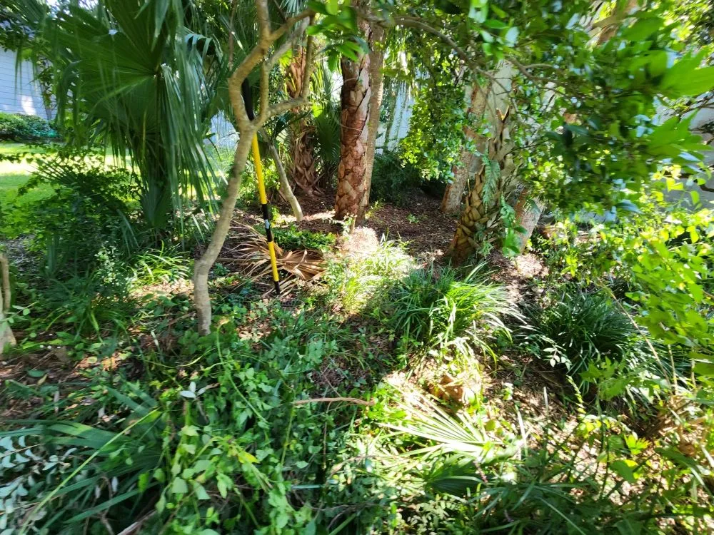 Local lawn care service for year-round maintenance across Trenton, FL - Family Tradition Field Services