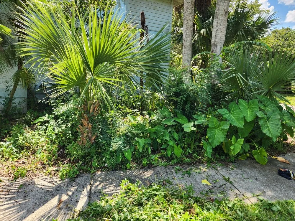 Trusted yard maintenance in Trenton, FL - Family Tradition Field Services