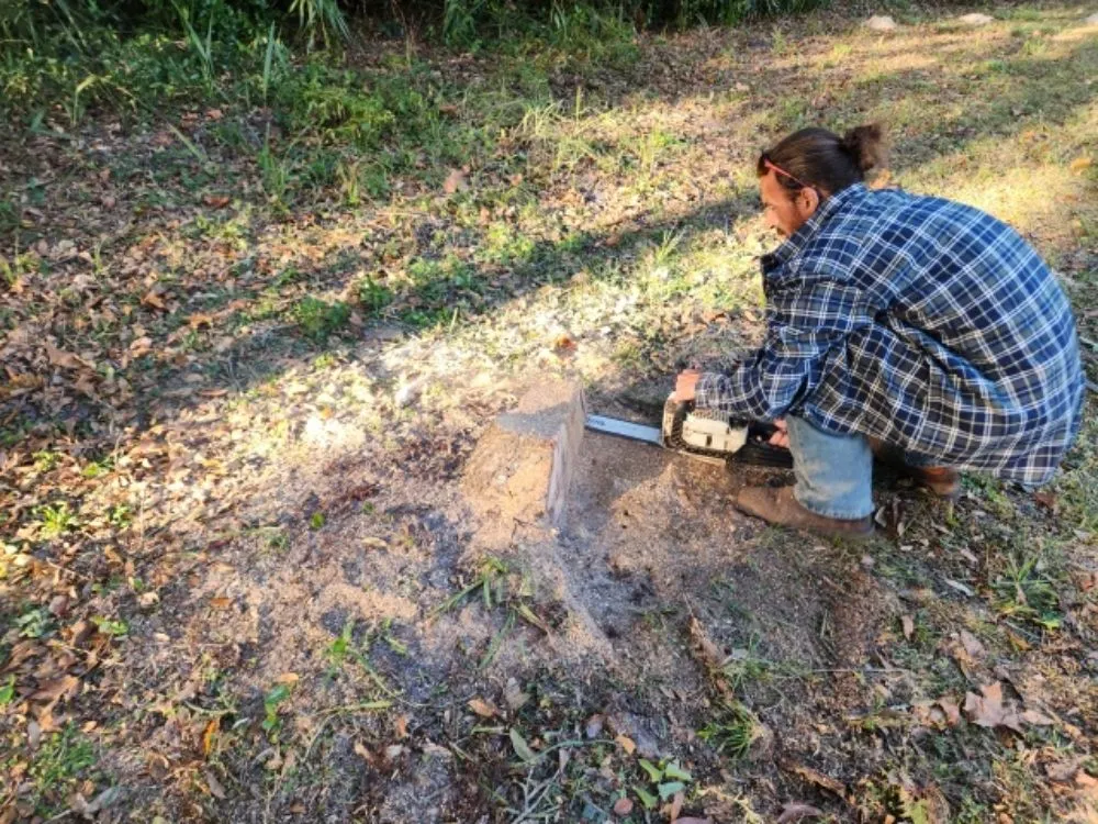 Professional outdoor landscaping for residential properties across Trenton, FL - Family Tradition Field Services
