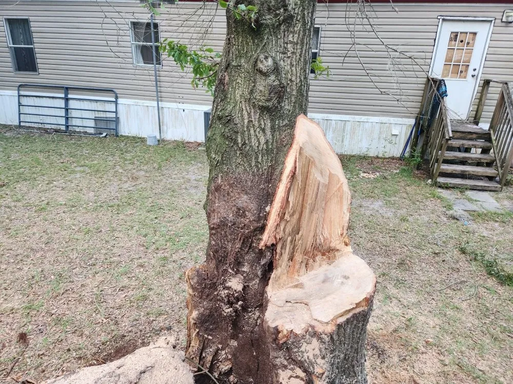 Professional lawn mowing service for residential properties across Trenton, FL - Family Tradition Field Services