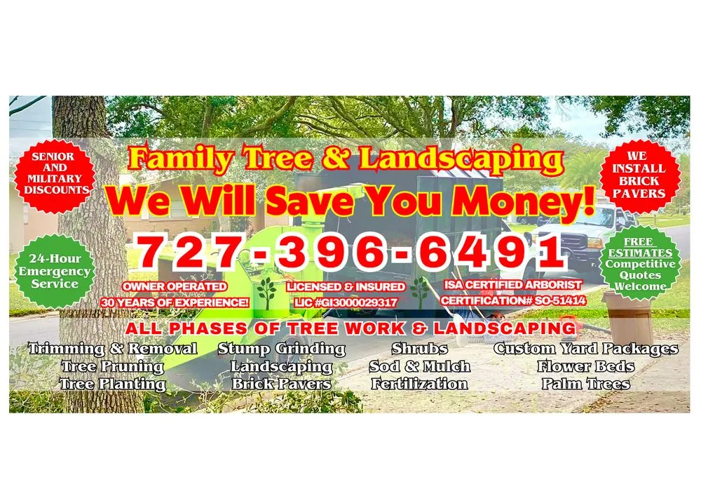 Local yard maintenance experts serving Clearwater, FL - Family Tree & Landscaping
