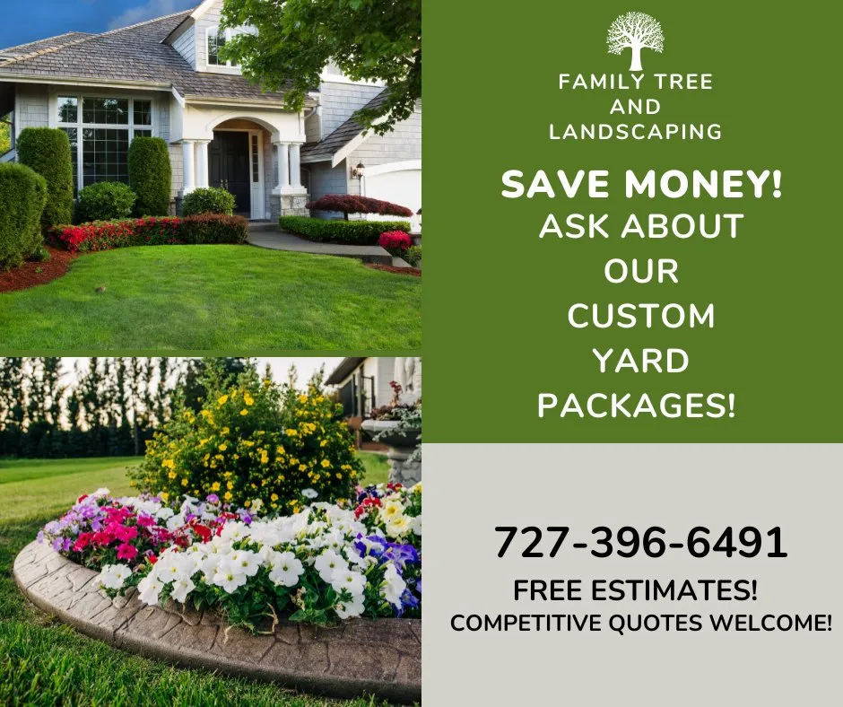 Affordable residential landscaping for beautiful yards in Clearwater, FL by Family Tree & Landscaping