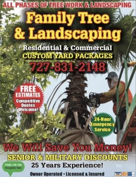 Affordable outdoor landscaping experts serving Clearwater, FL - Family Tree & Landscaping