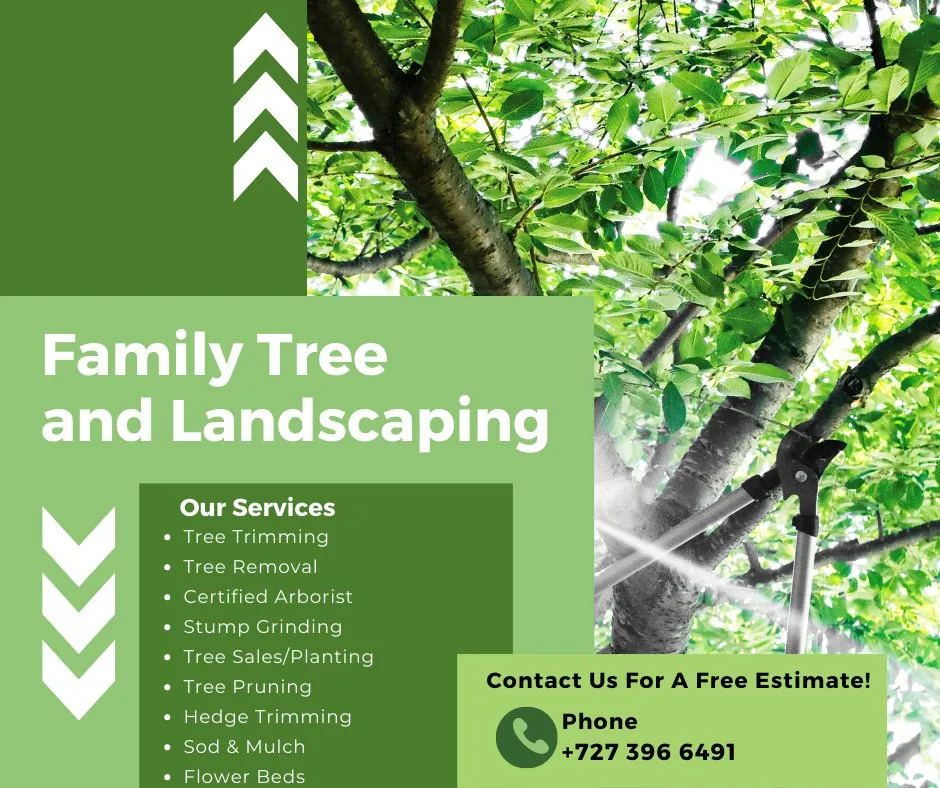 Local residential landscaping in Clearwater, FL - Family Tree & Landscaping