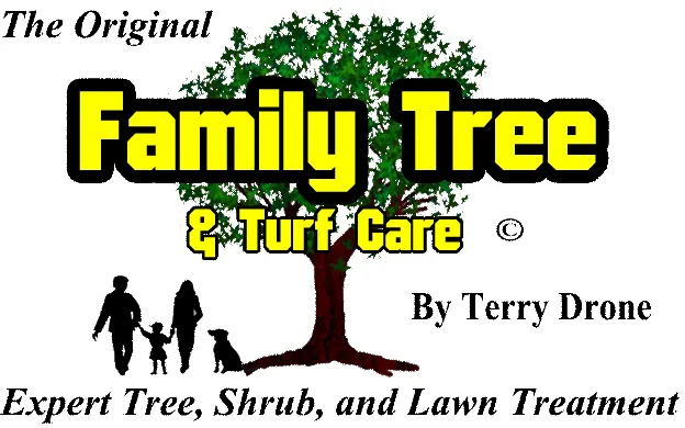 Top-rated yard cleanup service near you across Freehold, NJ - Family Tree and Turf Care
