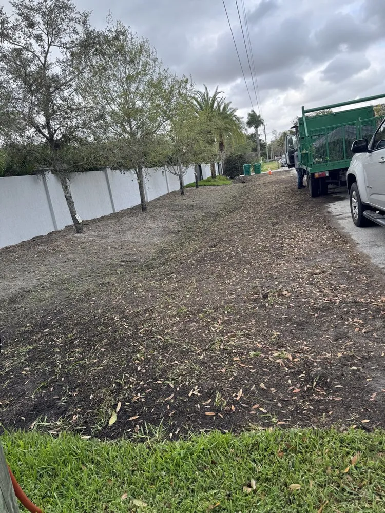 Top-rated lawn mowing service in Hollywood, FL by Family Tree Garden Center