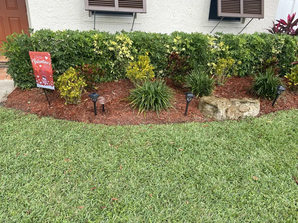 Custom yard cleanup service in Hollywood, FL - Family Tree Garden Center