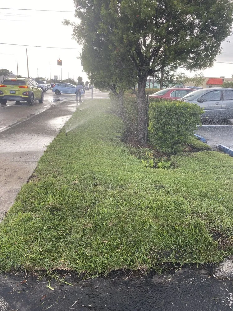 Top-rated yard cleanup service for outdoor upgrades across Hollywood, FL - Family Tree Garden Center