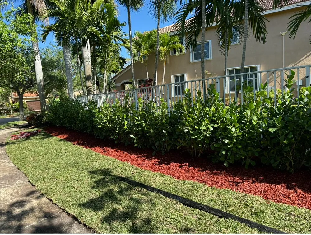 Reliable yard cleanup service for year-round maintenance in Hollywood, FL by Family Tree Garden Center