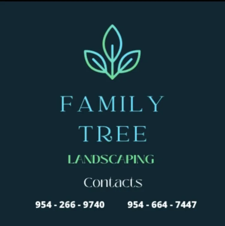 Expert yard cleanup service experts serving Hollywood, FL - Family Tree Garden Center