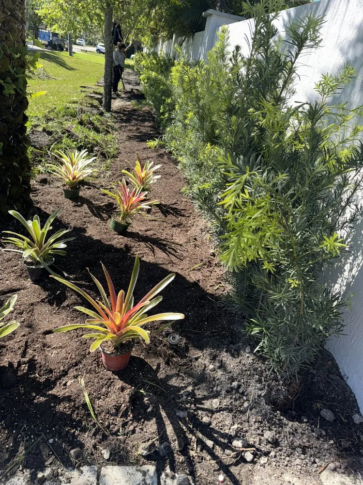 Local landscape design in Hollywood, FL - Family Tree Garden Center