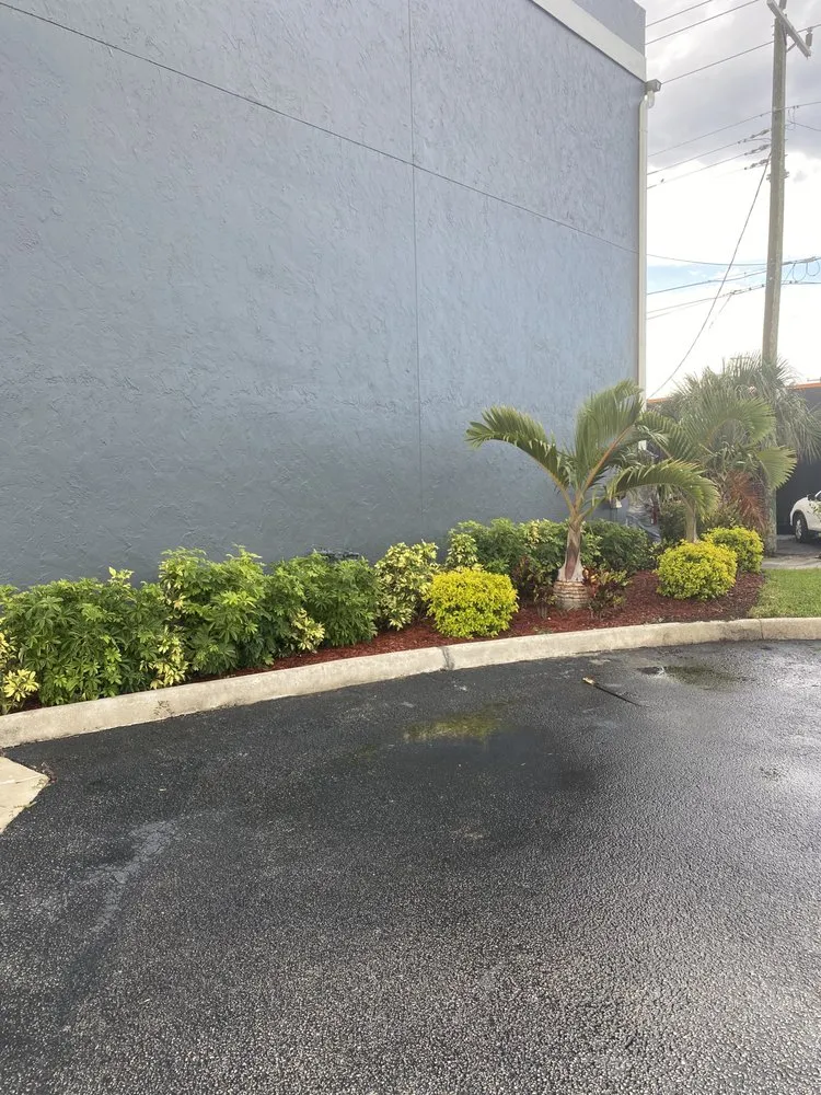Affordable landscape installation in Hollywood, FL - Family Tree Garden Center