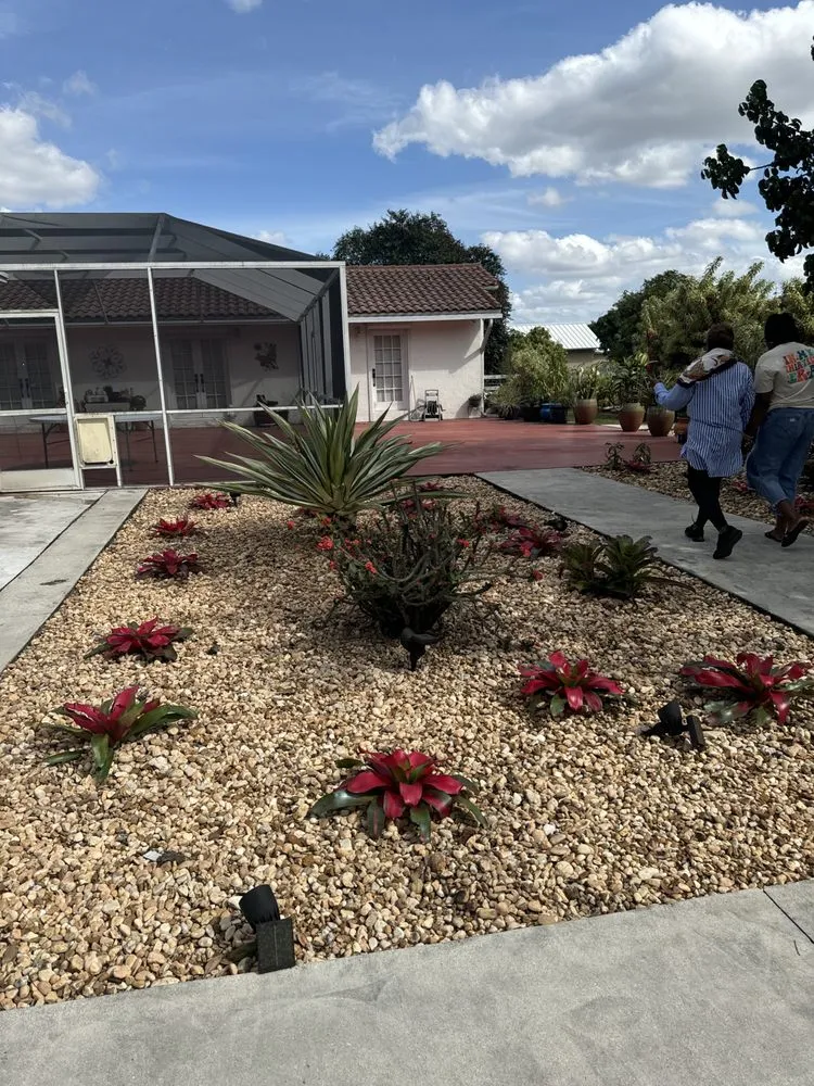 Affordable landscaping services in Hollywood, FL by Family Tree Garden Center