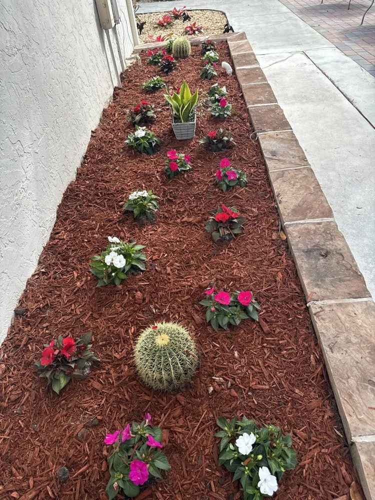 Expert yard maintenance for beautiful yards in Hollywood, FL by Family Tree Garden Center