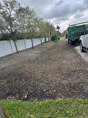 Family Tree Garden Center