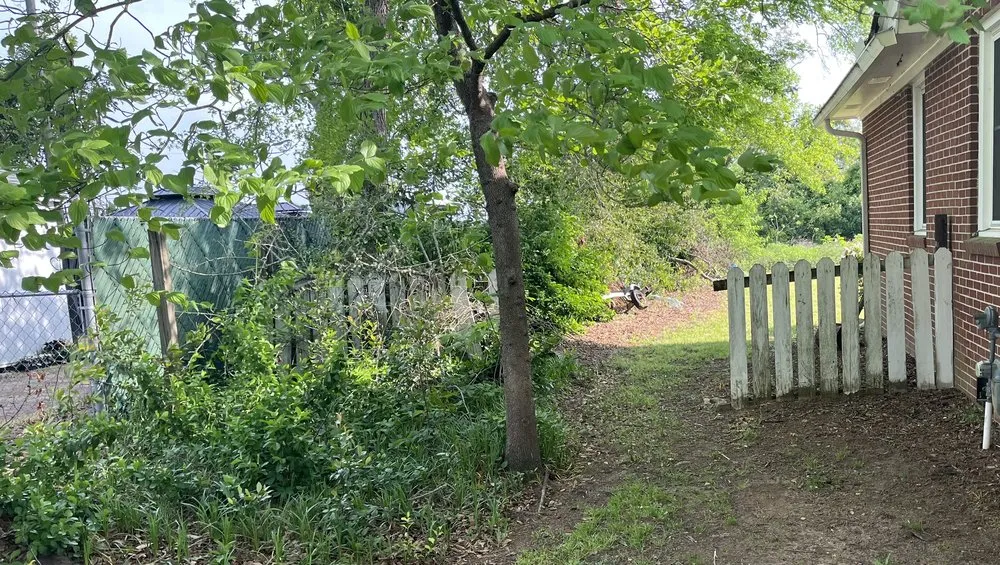 Trusted garden landscaping for year-round maintenance across Augusta, GA - Family Tree Landscaping and Lawncare